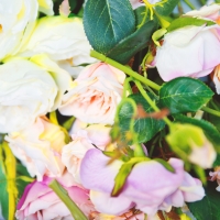 hochzeit 001.jpg